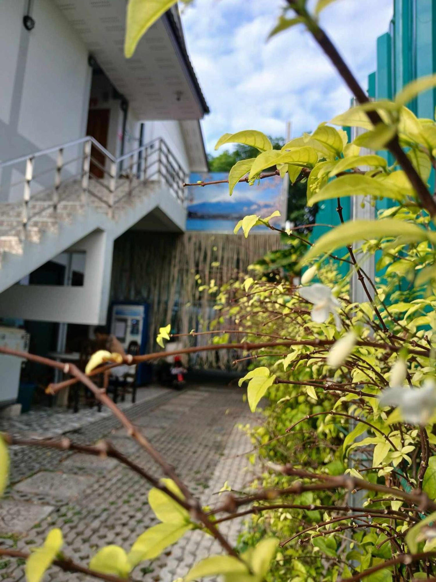 Hostel Sakura House Čiang Mai Exteriér fotografie